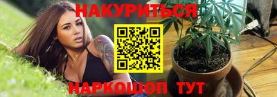 гашик Ливны