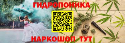 гашик Ливны